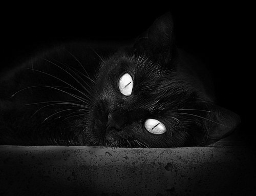 “法甲比赛精彩纷呈，豪门争夺激烈升温”，法甲 经典比赛