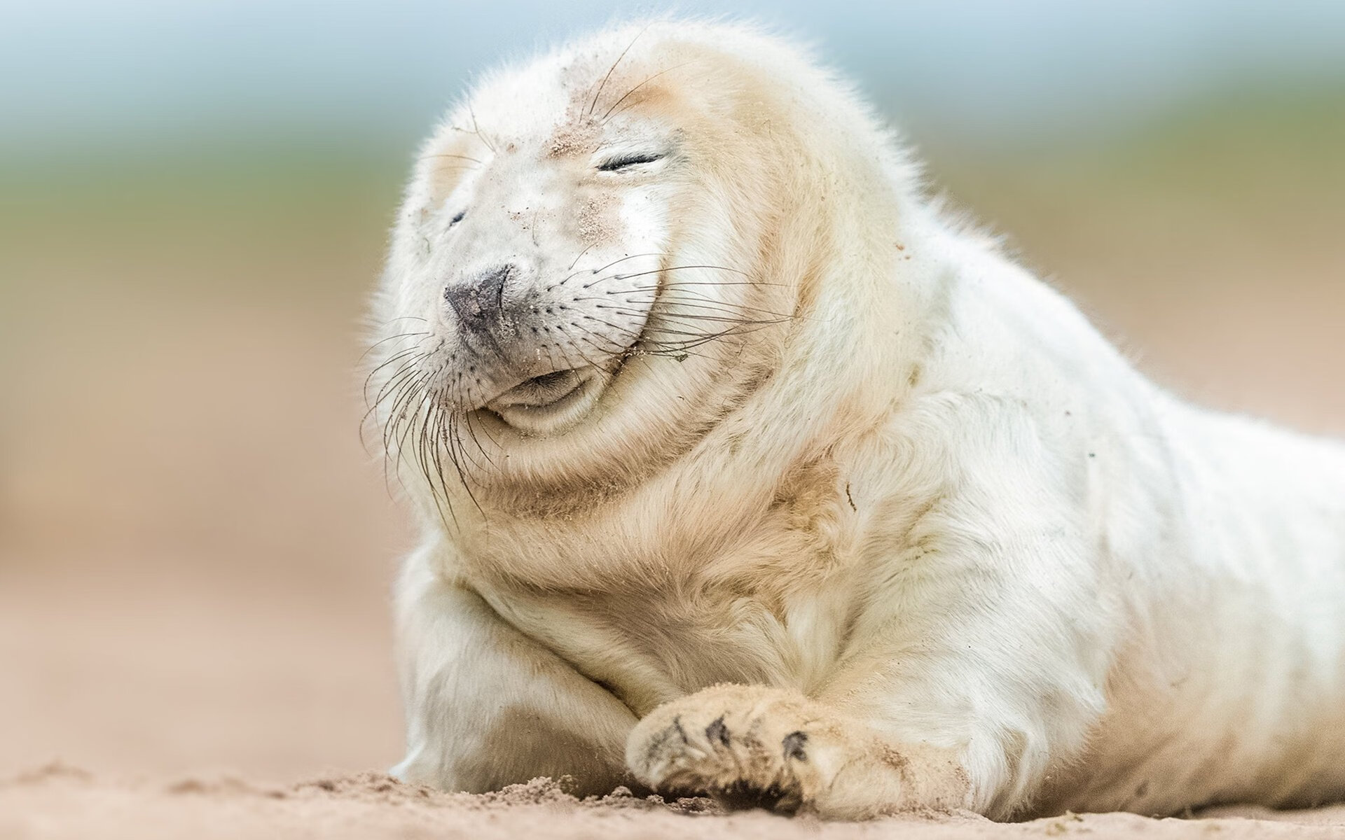 “雪地追逐：白色战场上的速度传奇”，007雪地追逐