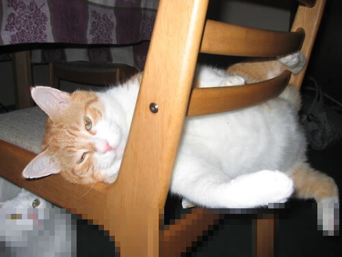 《虚拟偶像造未来：电竞与虚拟明星的跨界合作》，虚拟偶像又叫什么