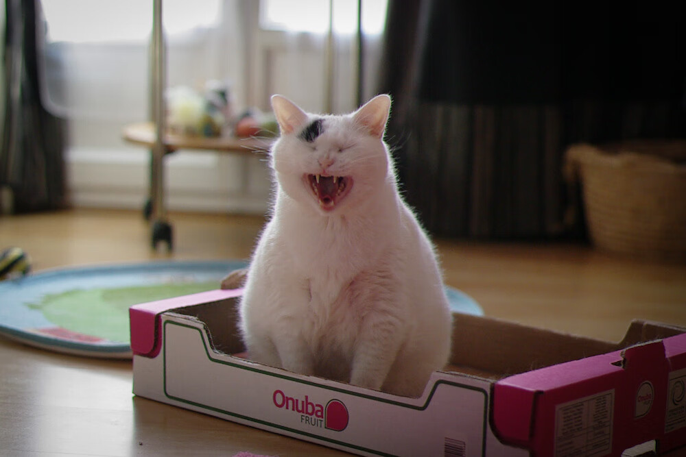 九游娱乐比分网-今年联盟三分球命中率前十，谁的手感最火？，19-20赛季三分球命中率排行榜