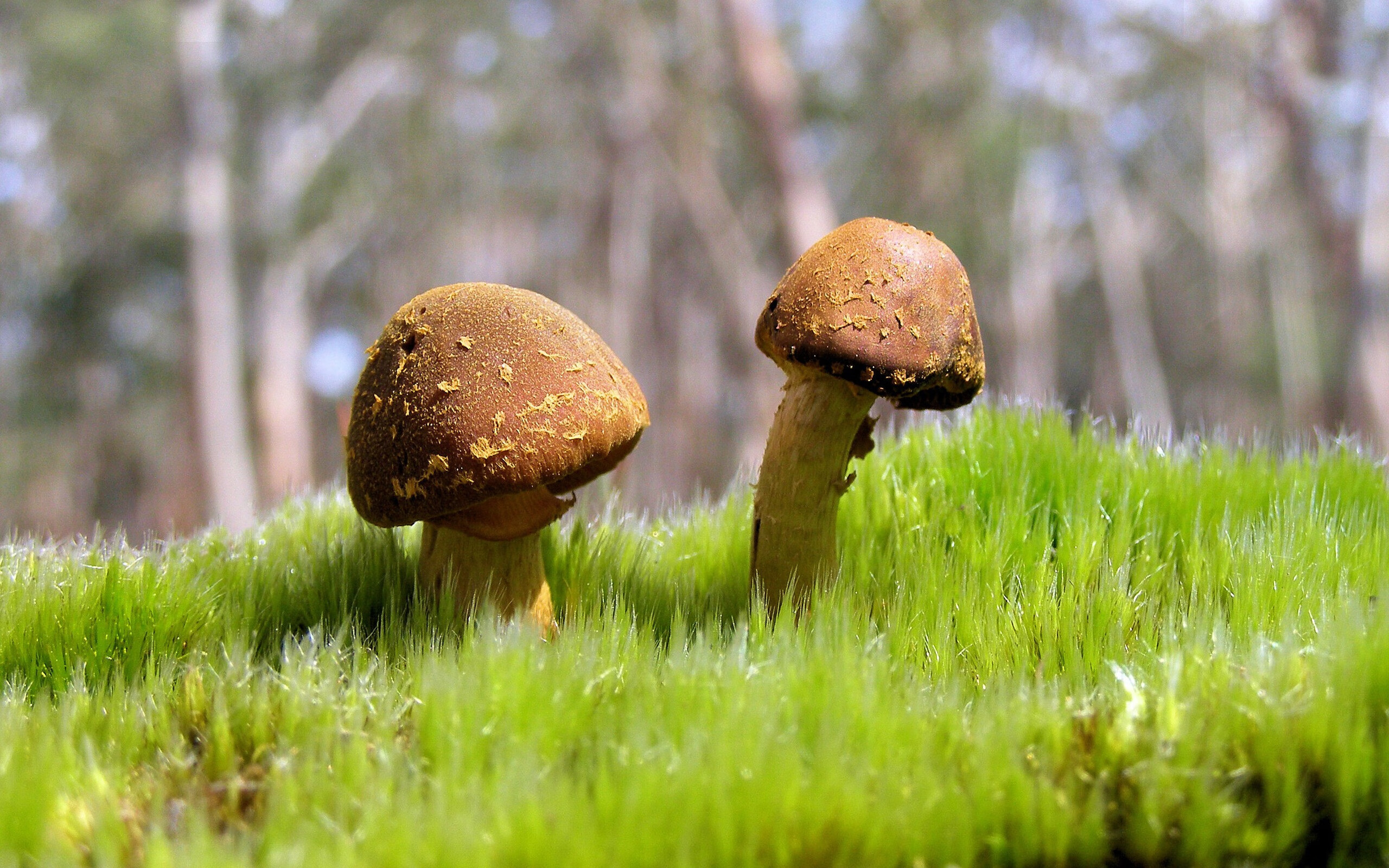 史上最具创新精神的战术设计,带你走进未来足球,足球战术发展现状及方向