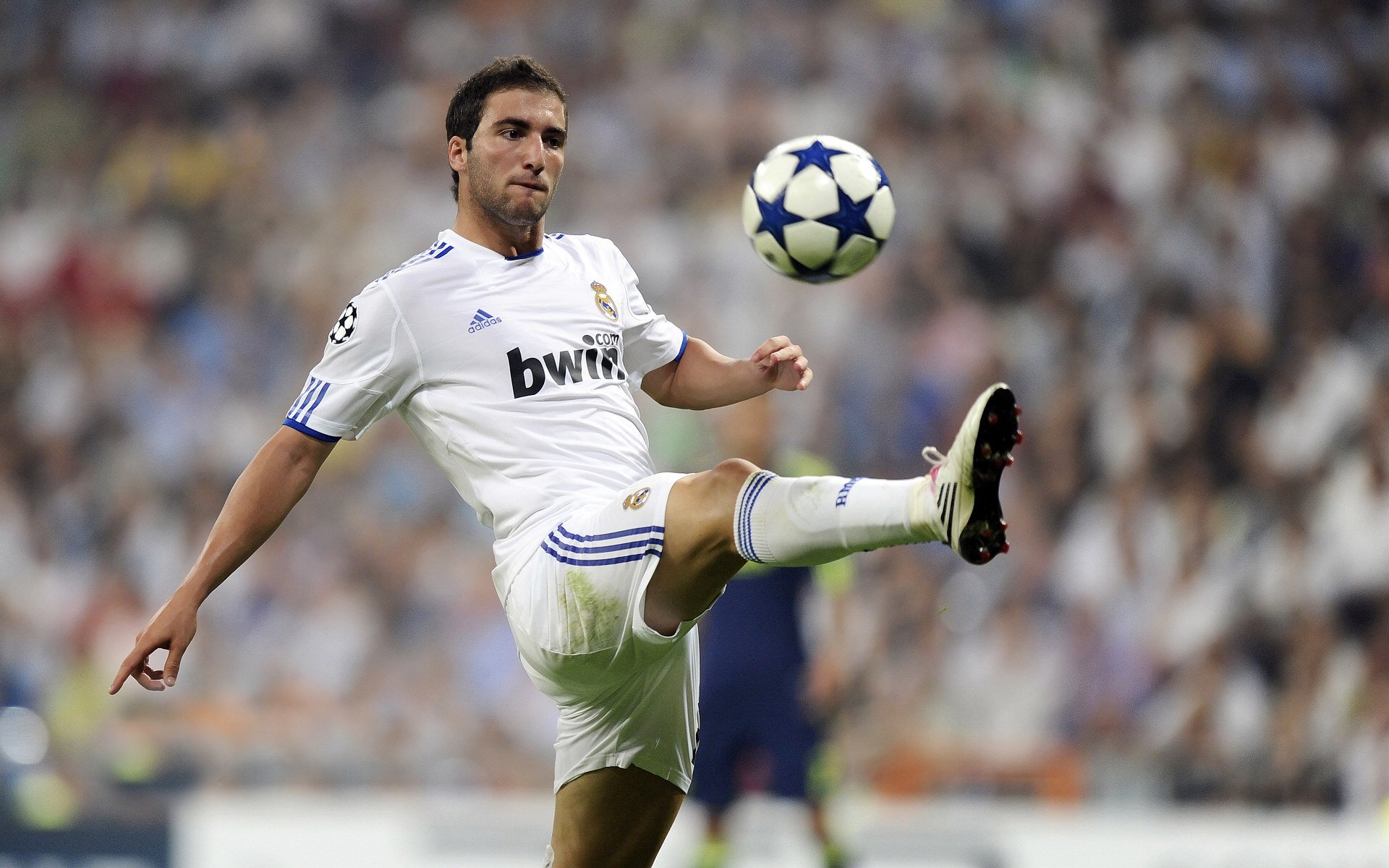 “萨尔·巴赫在南非队的角色转变：从替补到主力”