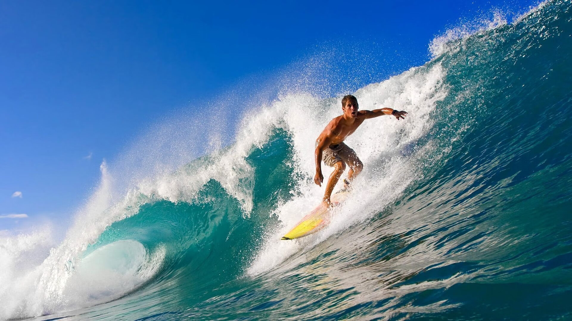 “萨尔·巴赫在南非队的角色转变：从替补到主力”